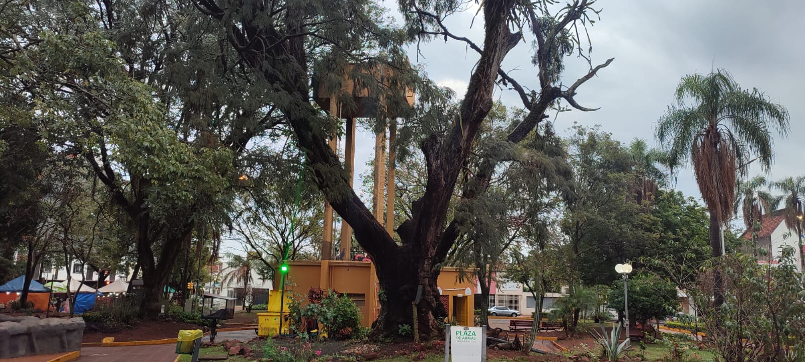 El Kurupa'y · árbol bicentenario declarado Monumento Natural, Plaza de Armas de Encarnación